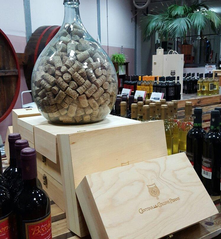 Cantina Delle Colline Pisane景点图片