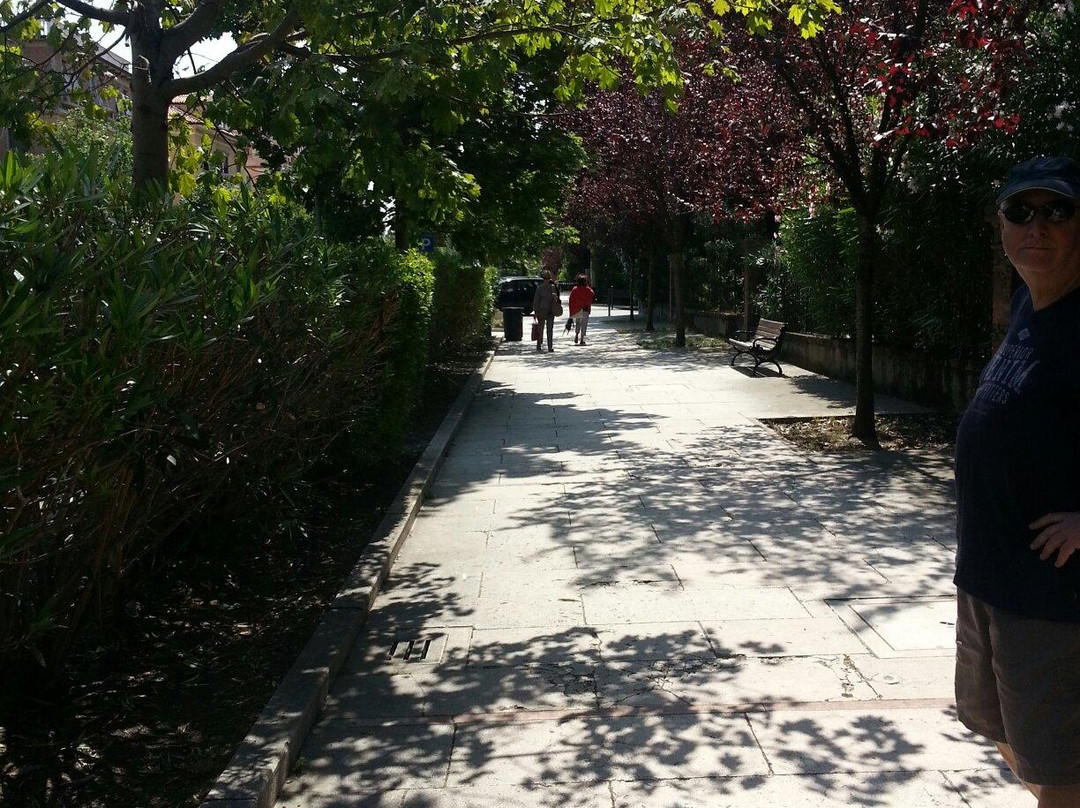 Lido Venice Beach景点图片