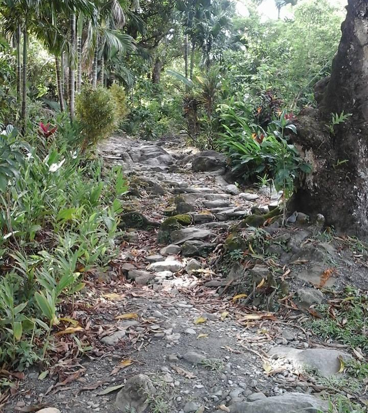 Tamilyog Trail景点图片