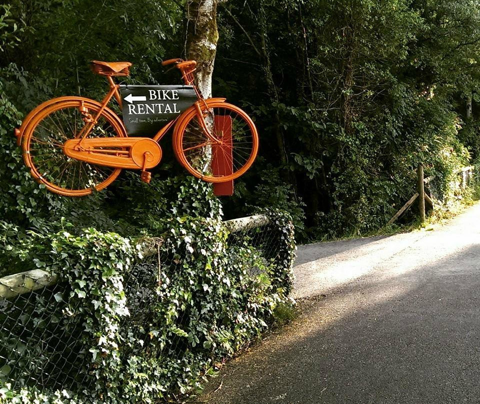 Bikes and Boards景点图片