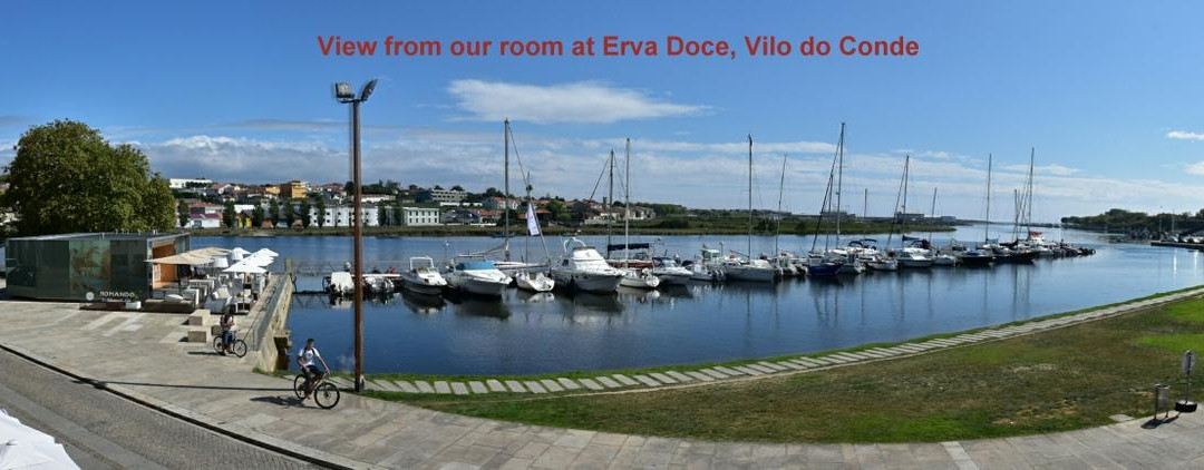 Erva Doce House主图