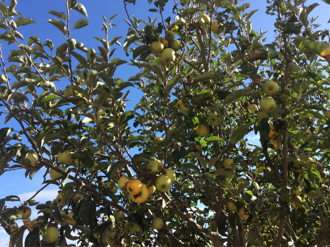 Sossego da Natureza - Monte Alentejano主图