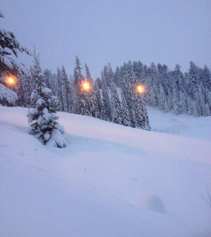 Tahkonhovi Golden Chalet