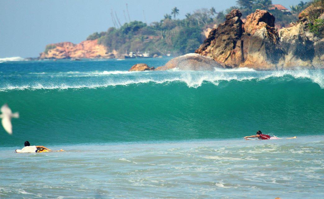 SurfDiscovery Sri Lanka Surf School景点图片