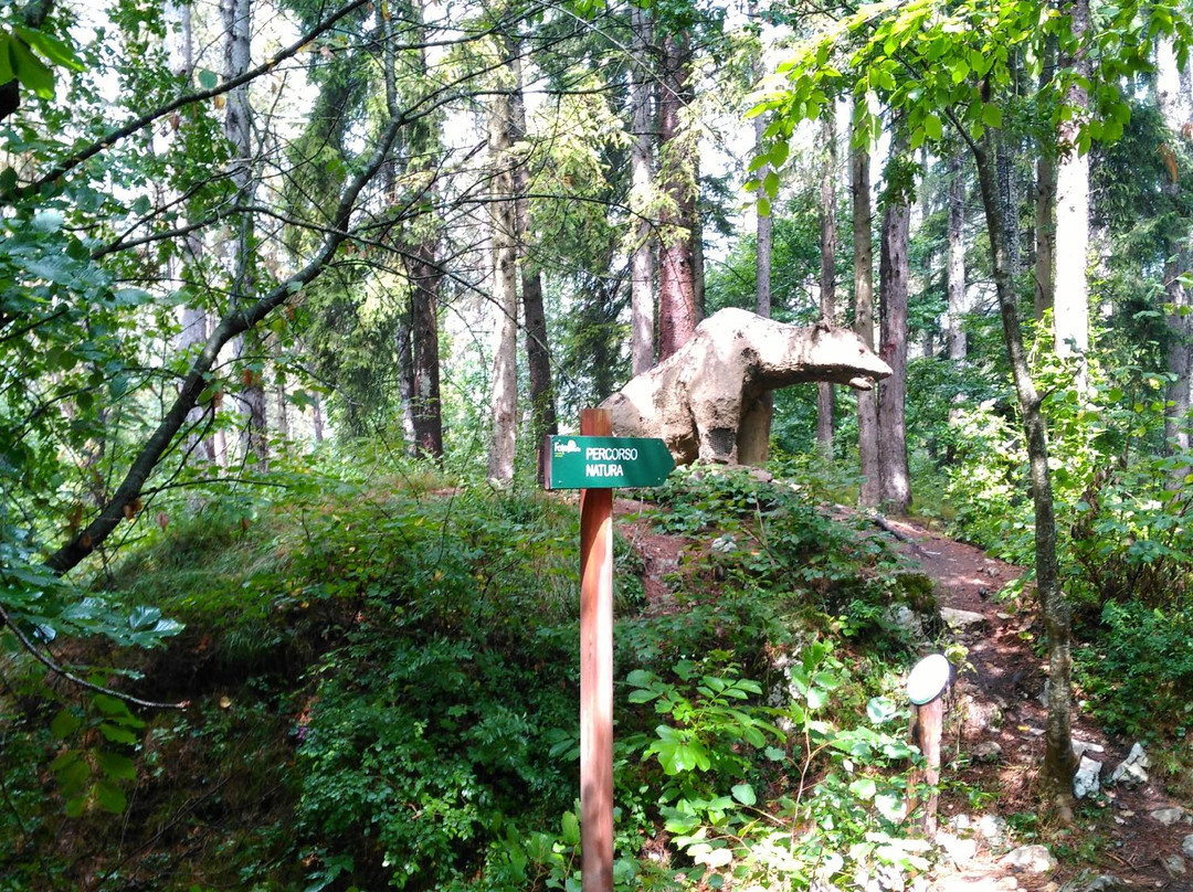 Percorso Natura景点图片