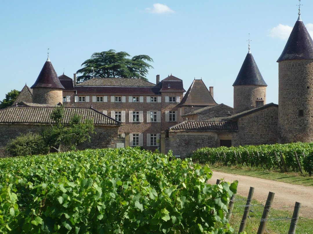 Chateau de Chasselas景点图片