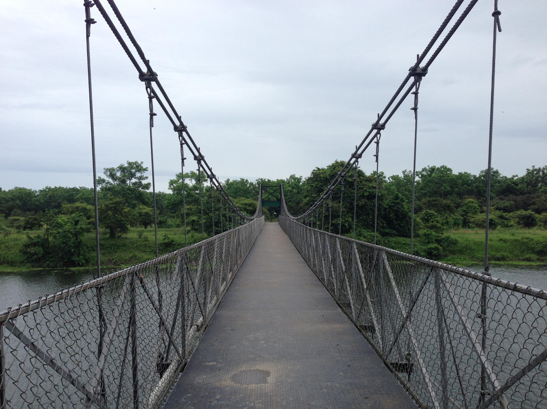 Pobitora Wildlife Sanctuary景点图片