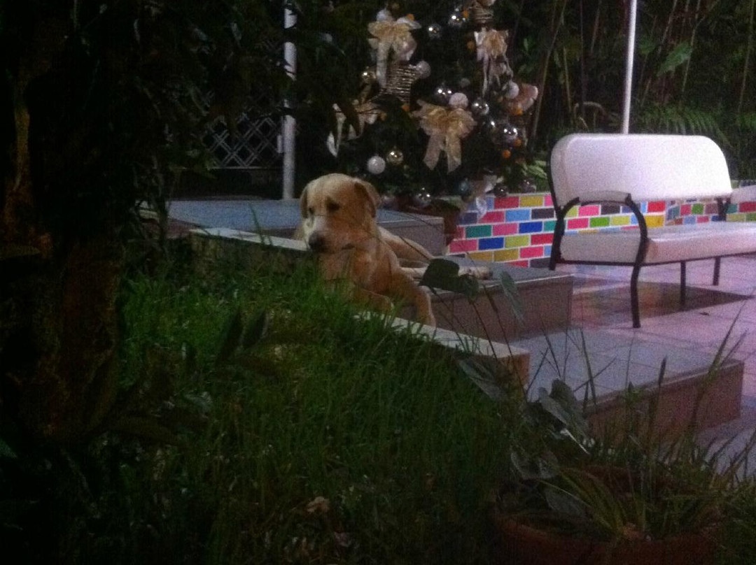 Hospedaje Shirampari主图