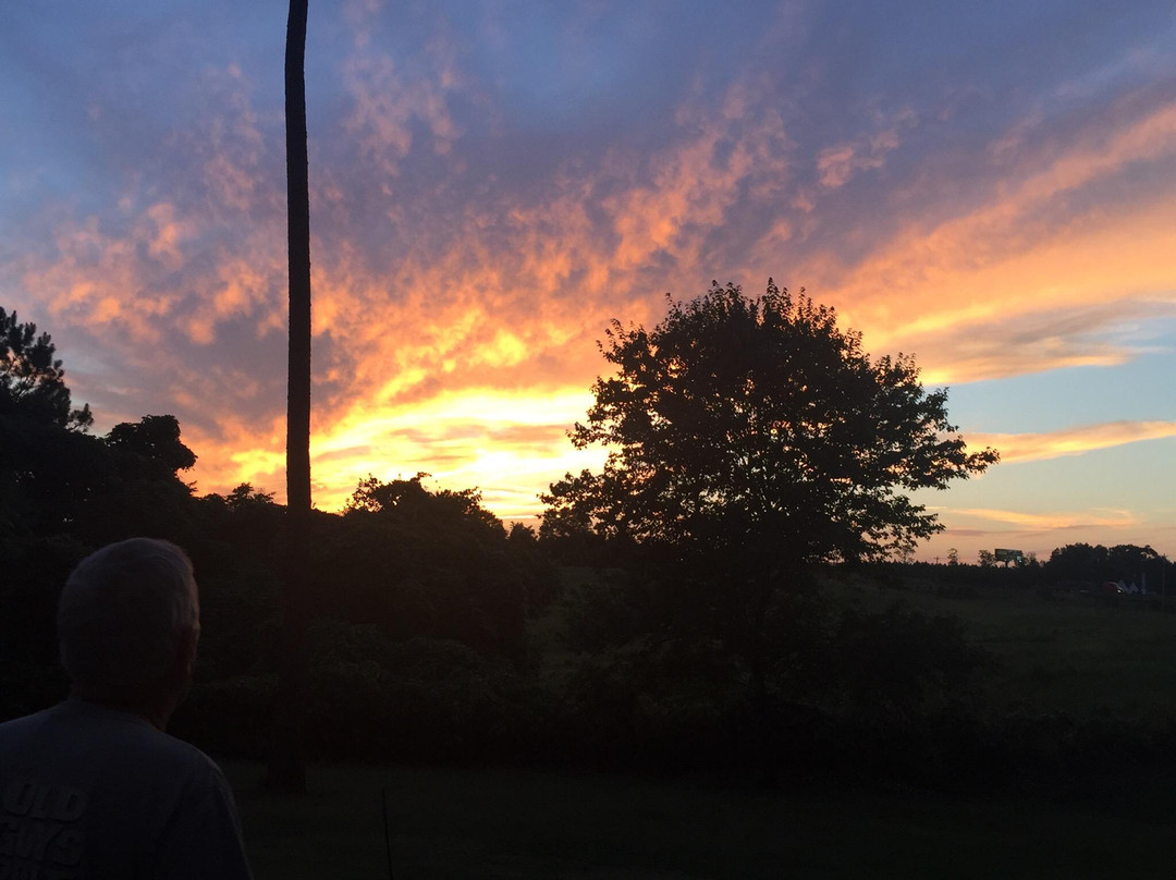 Spacious Skies Peach Haven Campground