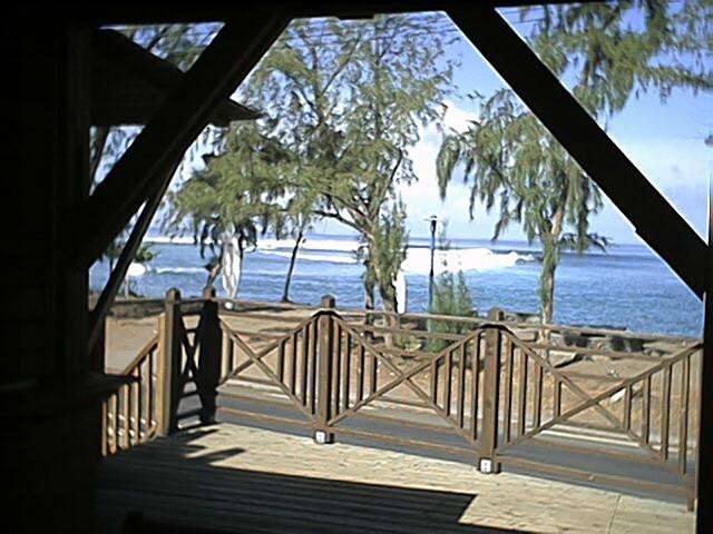 Dodo Spot Lodge