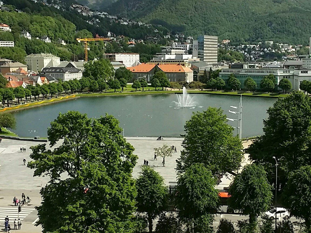 Lille Lungegaardsvannet-卑尔根必去景点