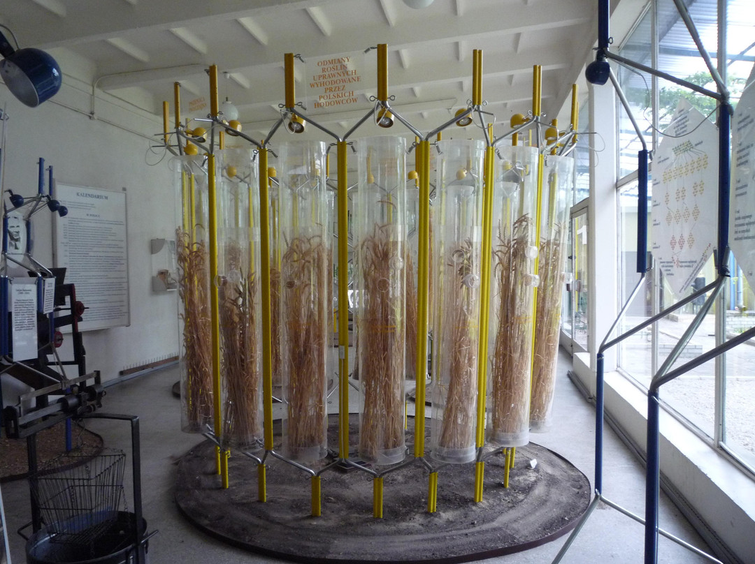 National Museum of Agriculture and Agricultural-Food Industry景点图片