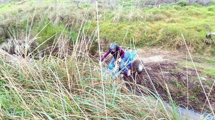 SA Forest Adventures-卡里登必去景点
