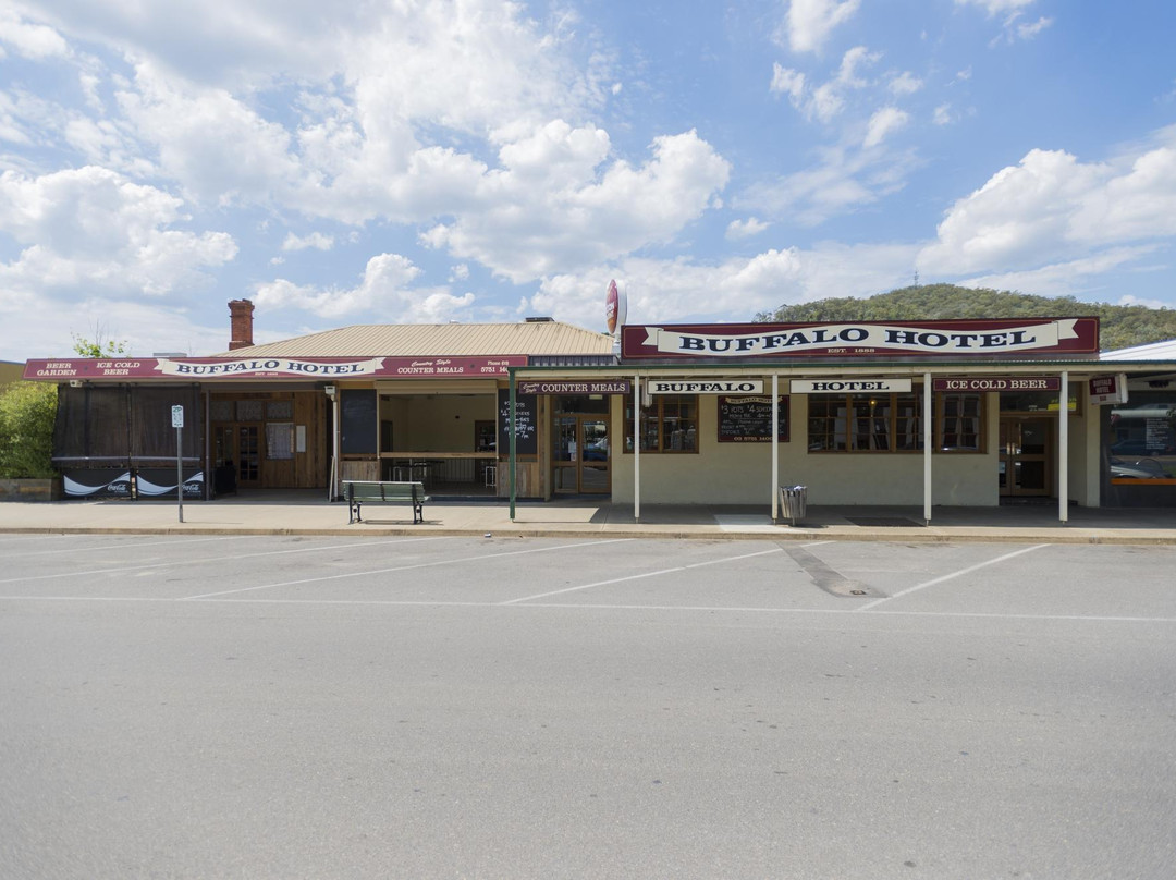 Myrtleford餐馆和美食-The Buffalo Hotel