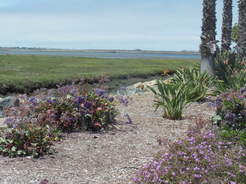 Marina View Park-丘拉维斯塔必去景点