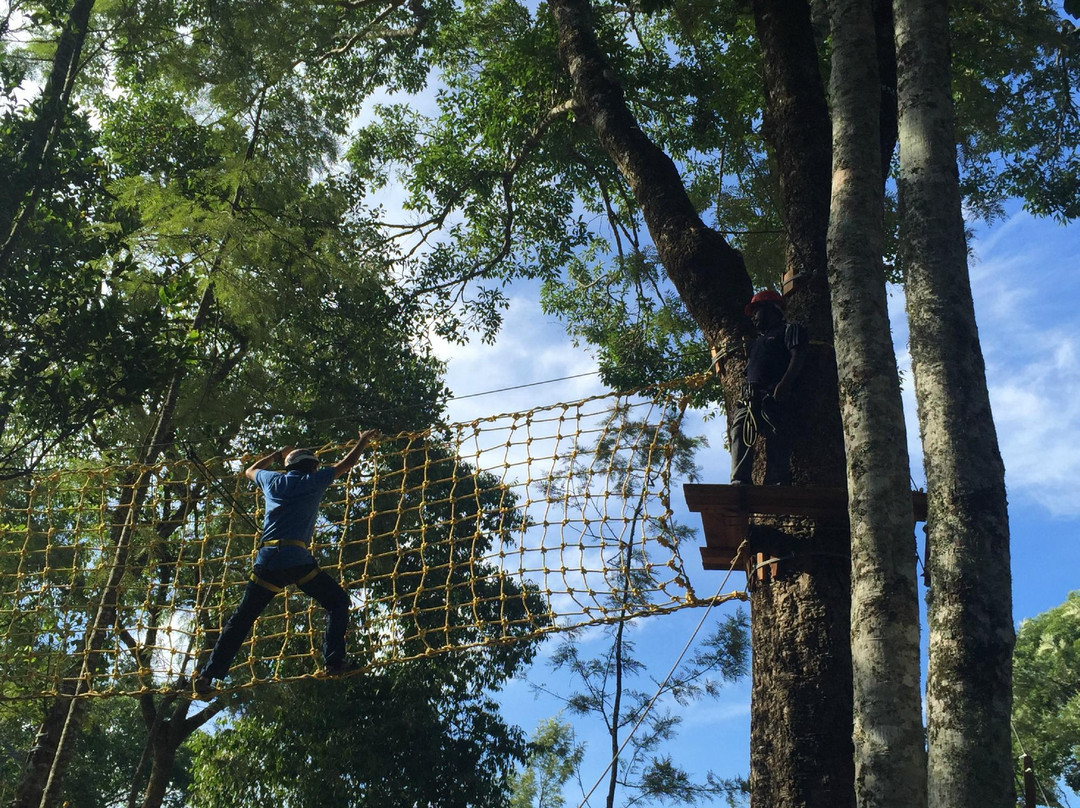 TreeTop Adventure Park景点图片