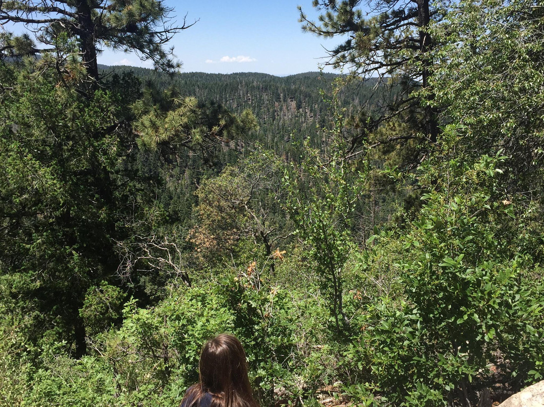 Trestle Recreation Area-Cloudcroft必去景点