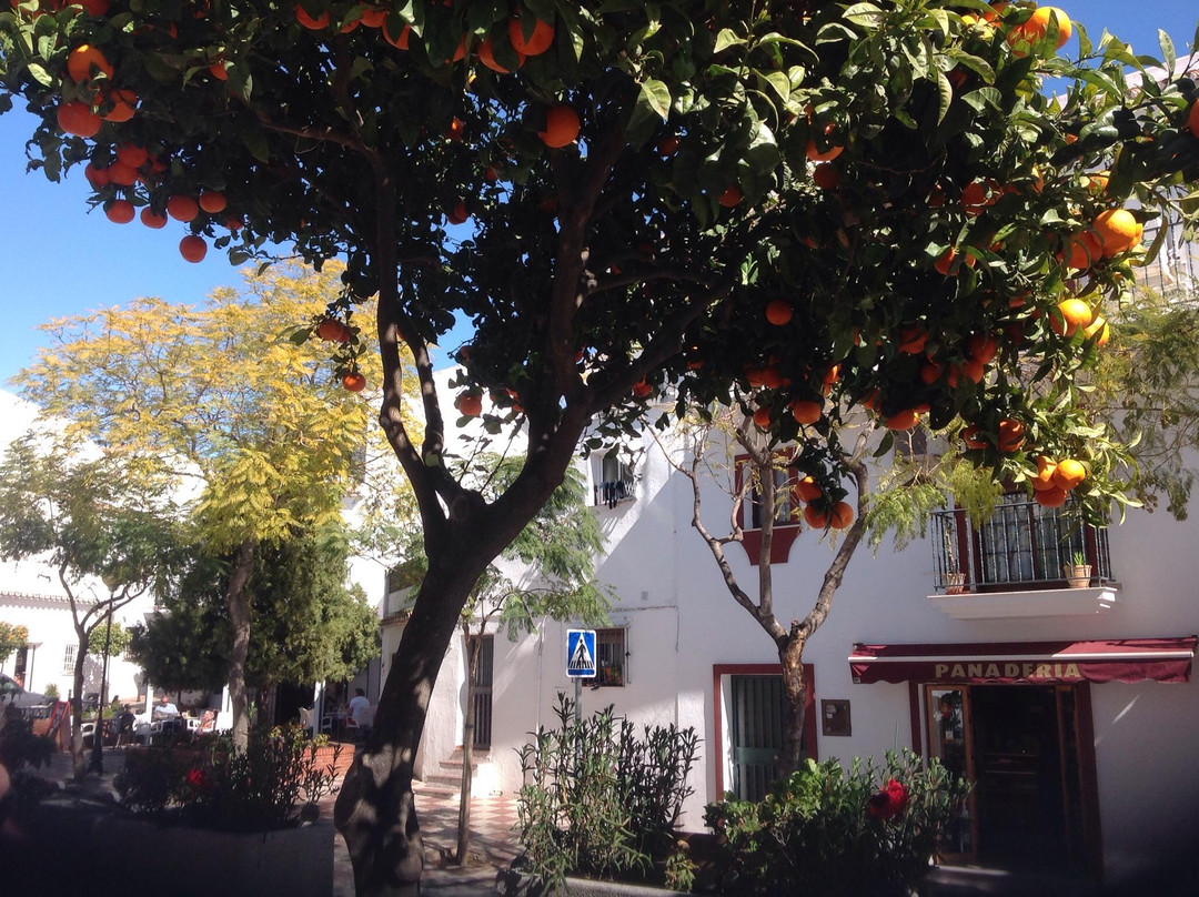 Benalmadena Pueblo (The Old Village)景点图片