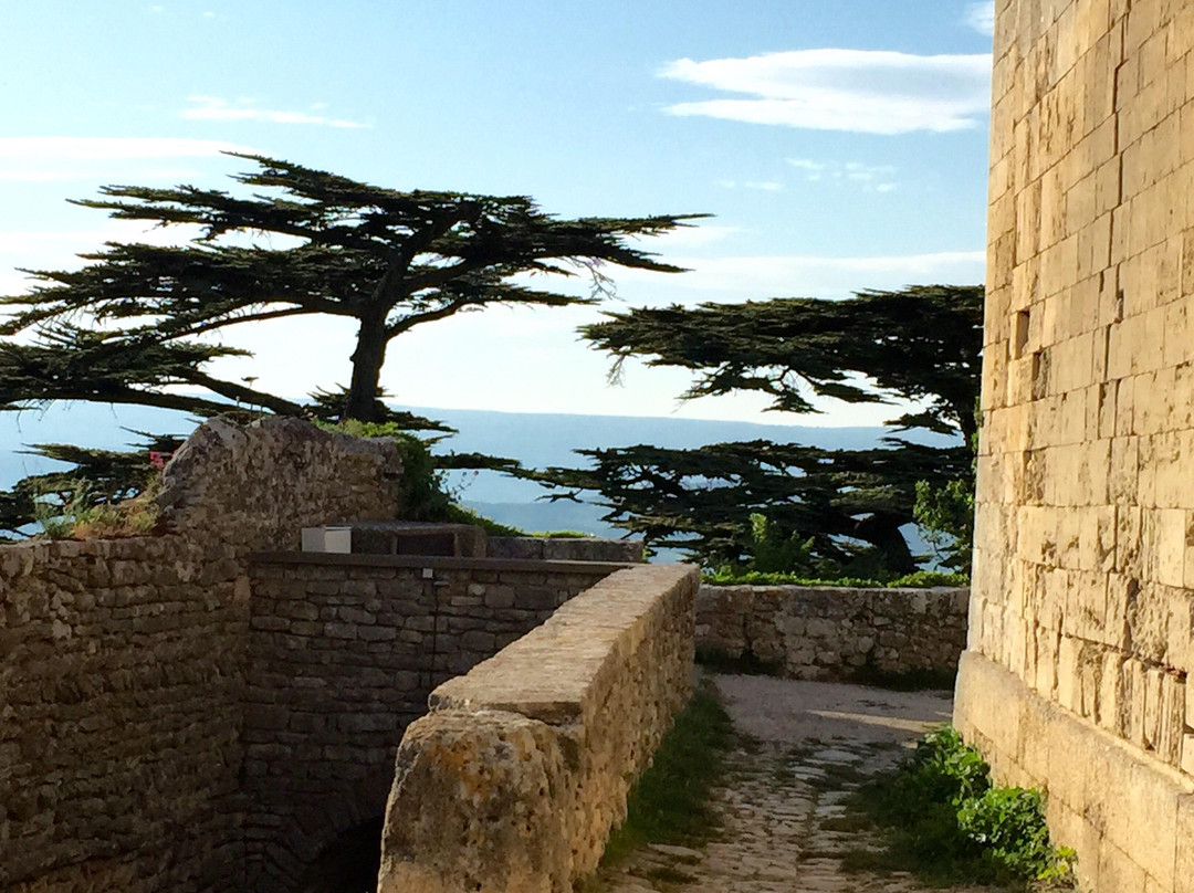 Office du Tourisme Intercommunal de Bonnieux景点图片