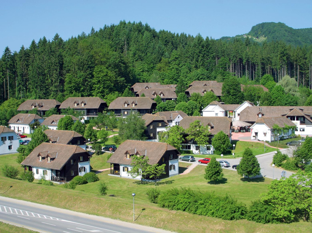 Apartments at Vas Lipa