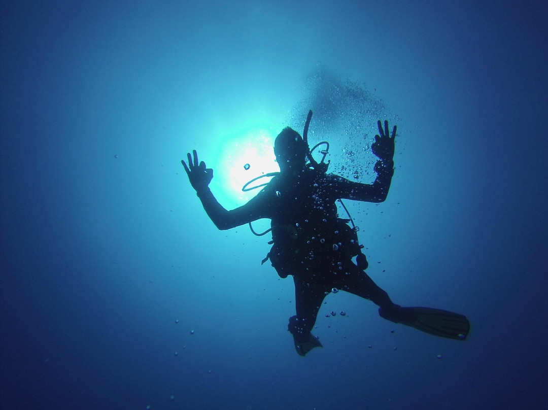 Octopus Mallorca景点图片