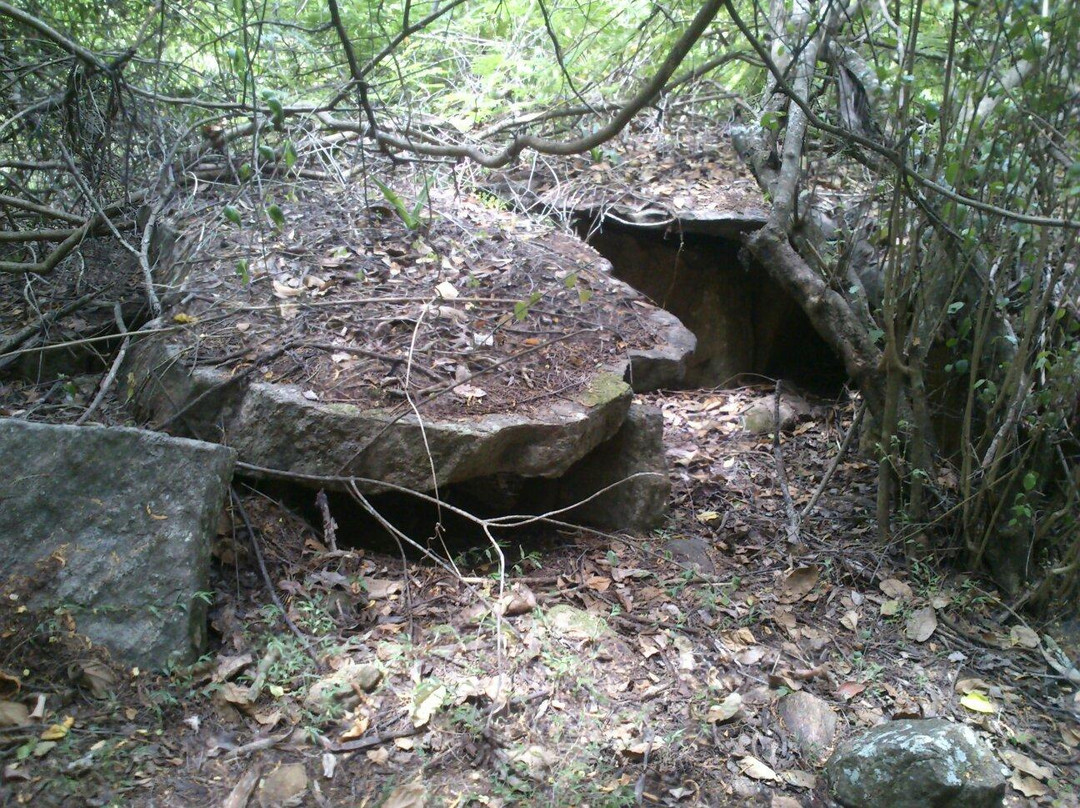 Dolmen Circle景点图片
