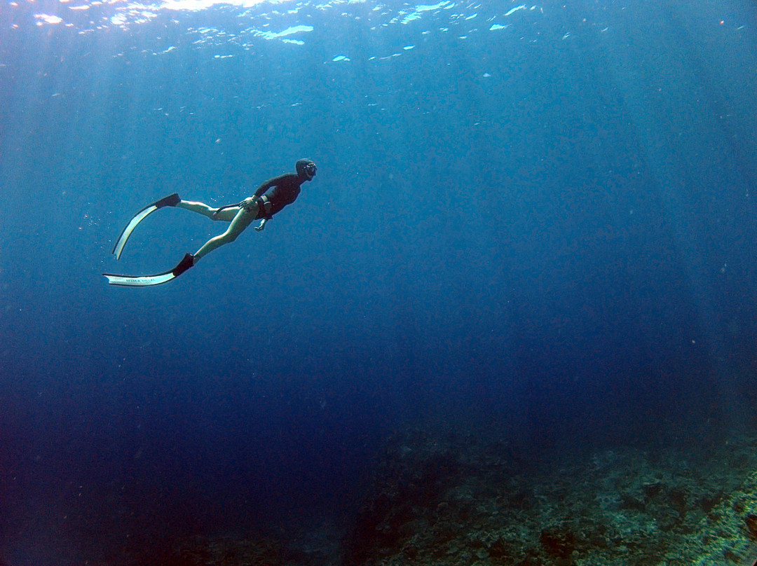 Apnea Koh Phangan Freediving School-帕岸岛必去景点