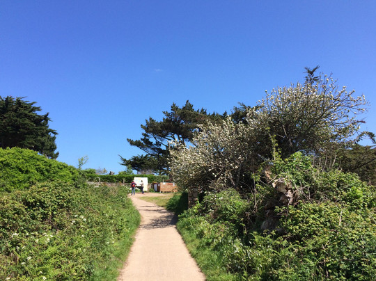 Petite Crêperie Rapide Le Paradis Rose - Île de Bréhat au Nord