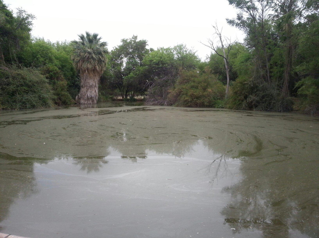 Posada del Monte主图
