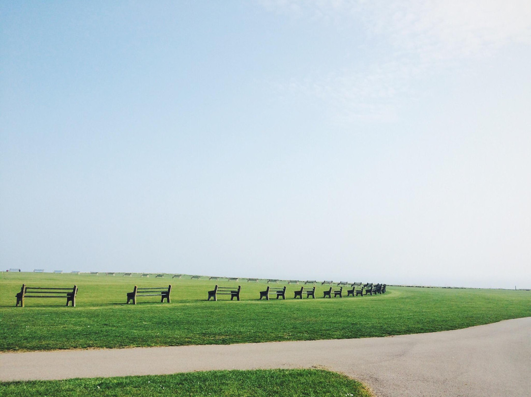 Land Train景点图片