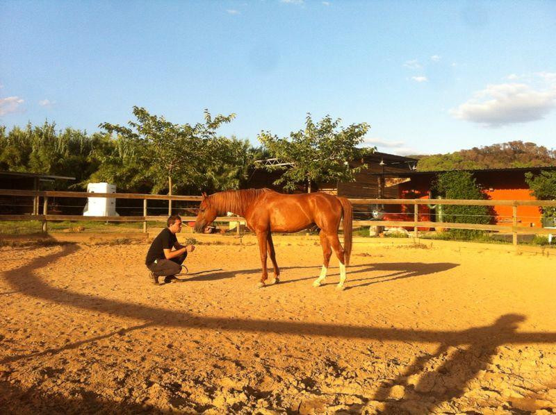 Cabalgando Hacia lo Salvaje-巴塞罗那必去景点