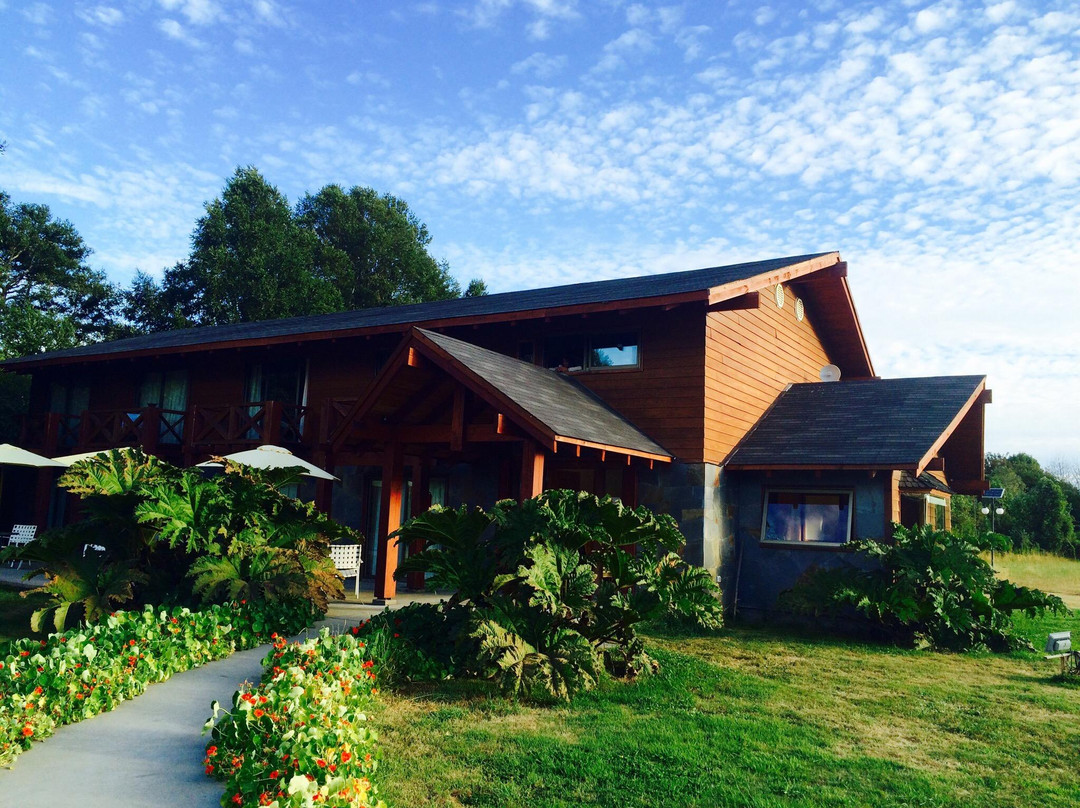 Eco Terra Verde主图