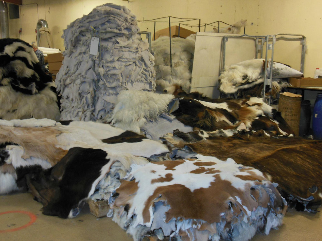 Tannery Visitor Centre-Saudarkrokur必去景点