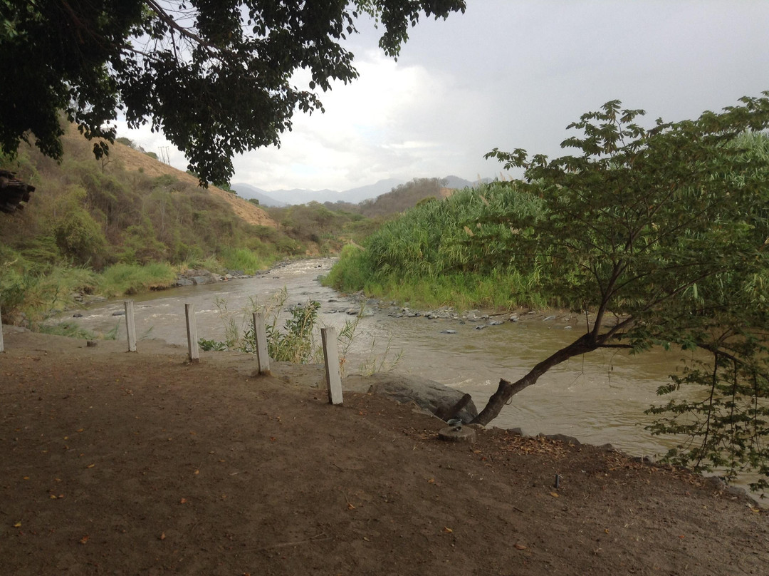 Parque Otamendi景点图片