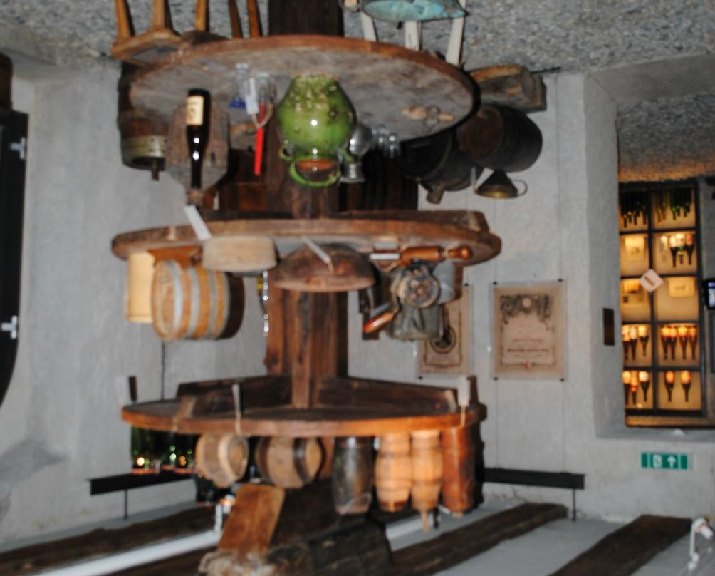 Wine Museum Sierre-谢尔必去景点