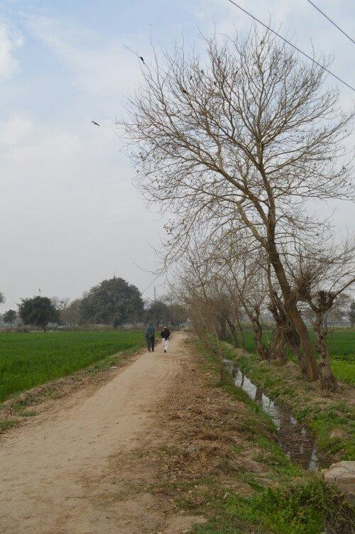 University of Agriculture-Faisalabad必去景点