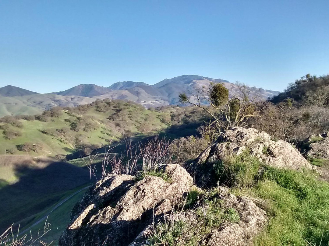 Shell Ridge Open Space-核桃溪必去景点