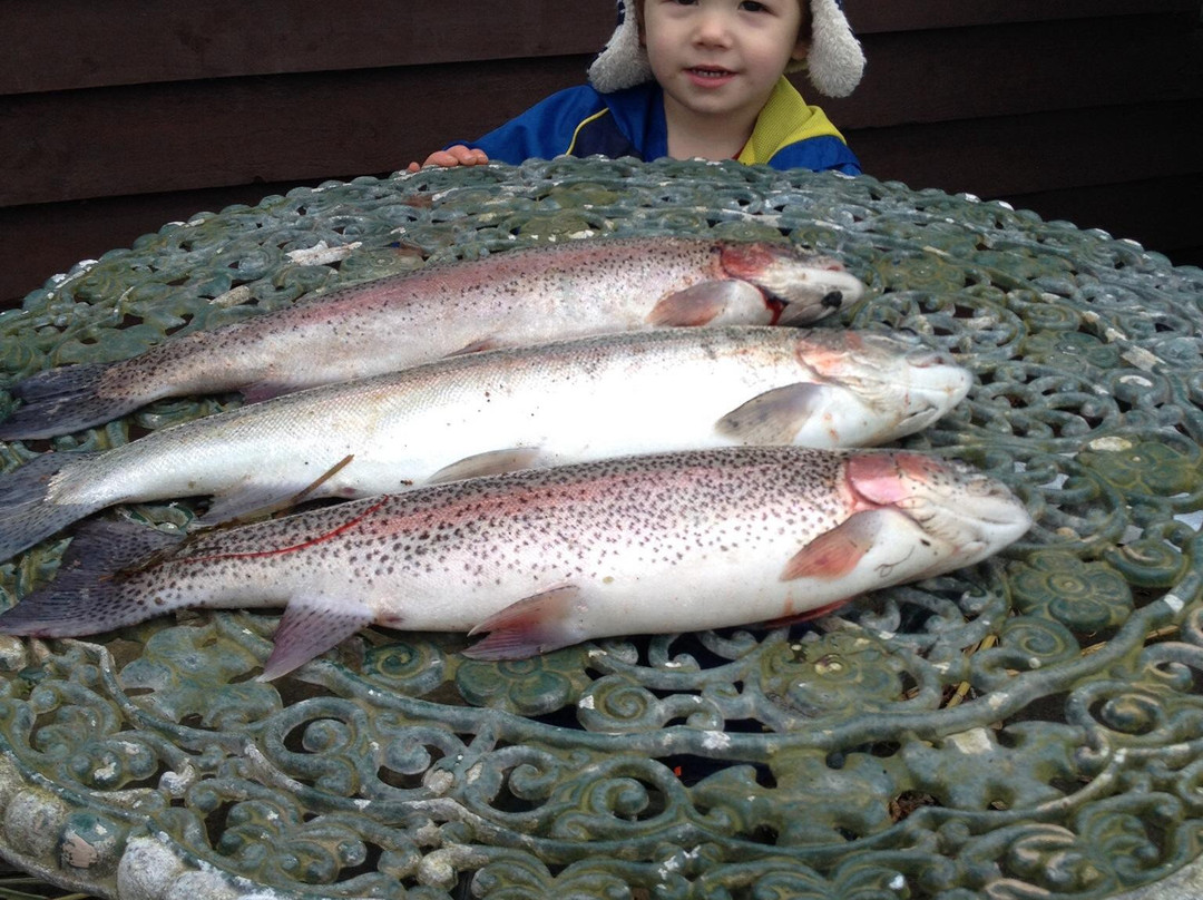 Springwater Fishery景点图片
