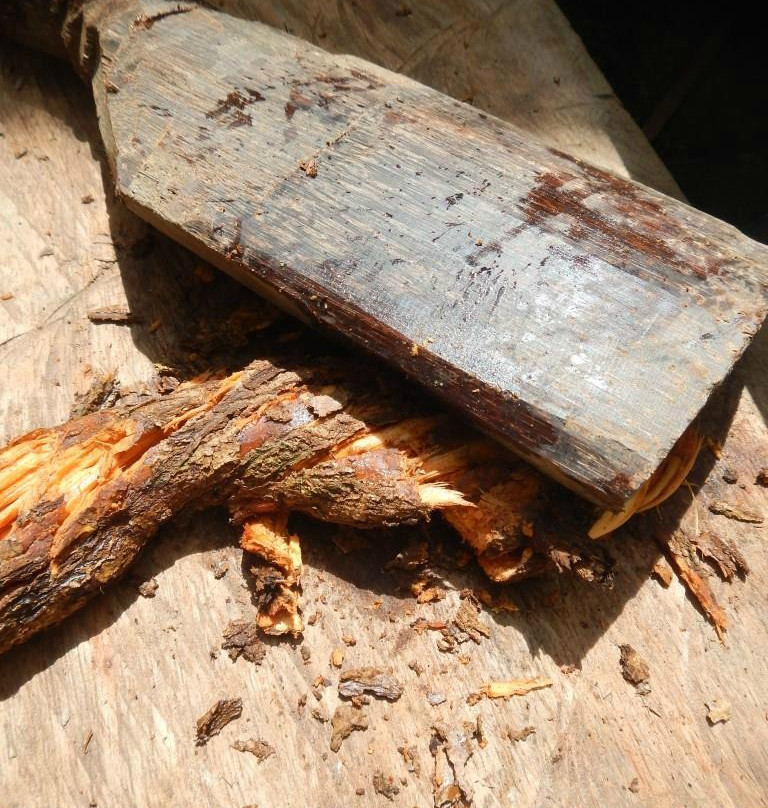 Centre Devas-Tena必去景点