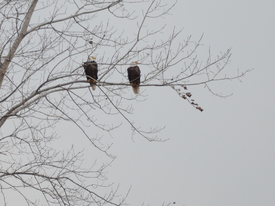 Iroquois National Wildlife Refuge景点图片