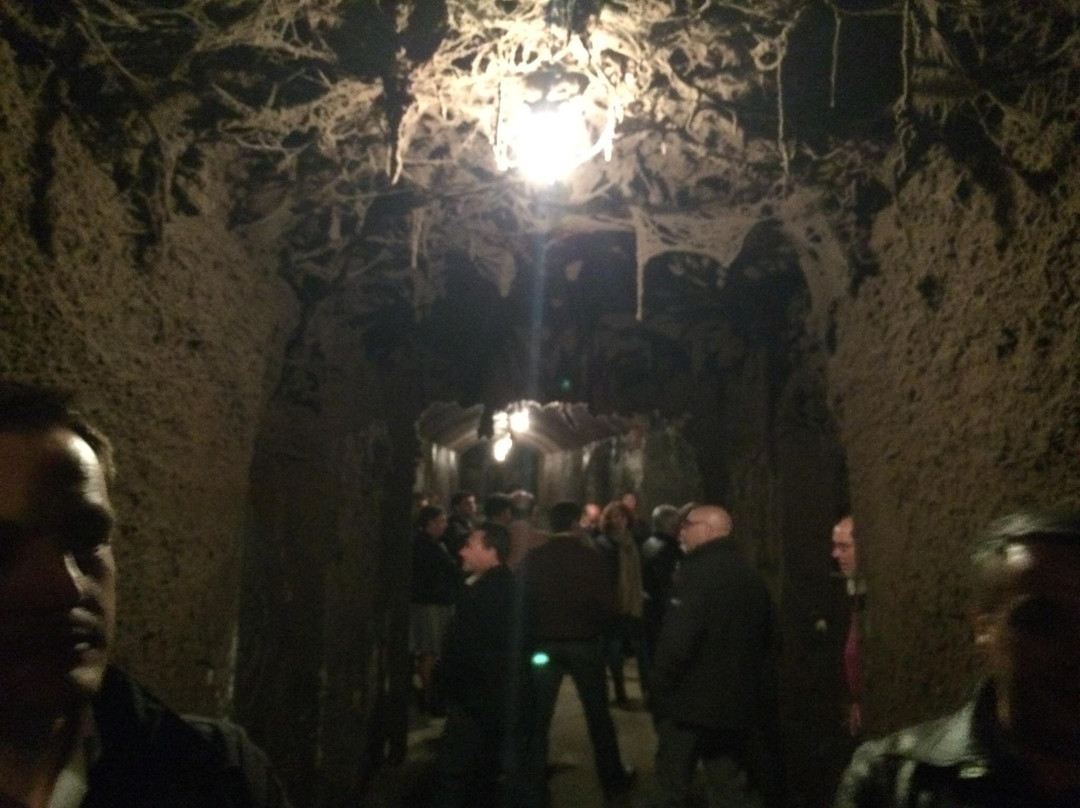 Caves do Solar de São Domingos景点图片
