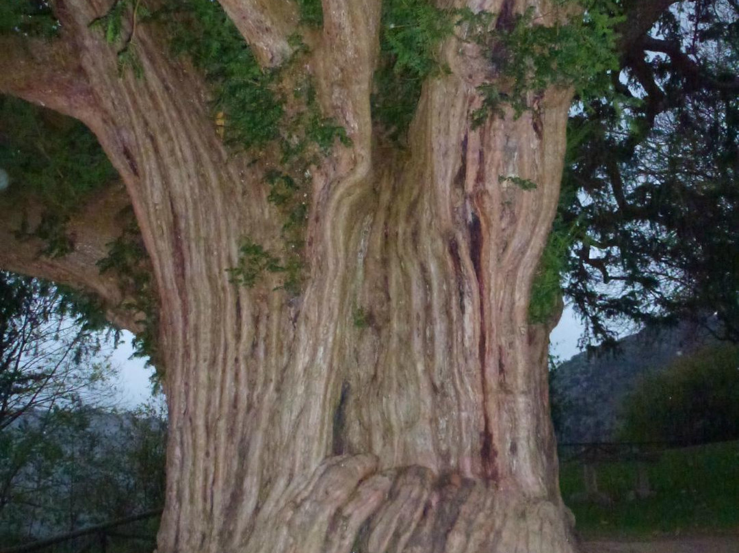 Bermiego-Quiros Municipality必去景点