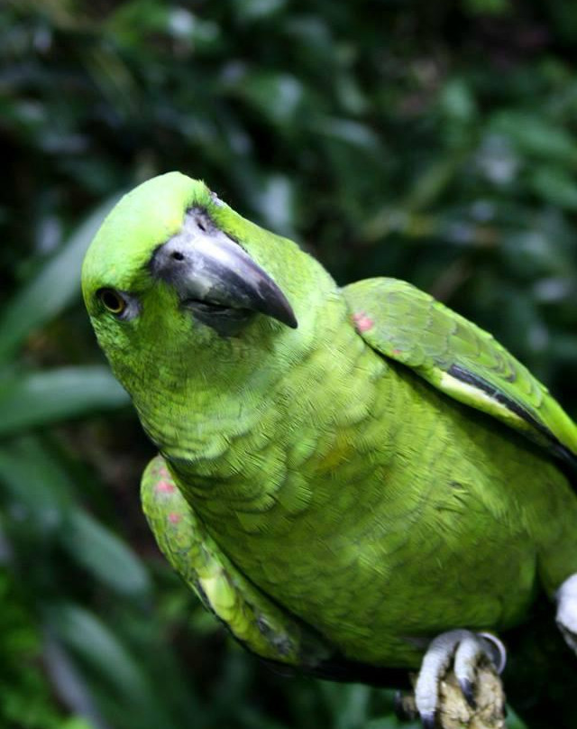 Centro Colibri Di Margherita Hack景点图片