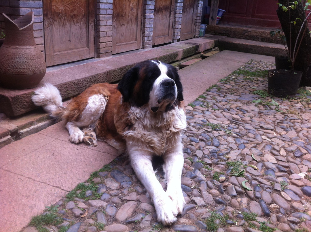 沙溪马圈46国际青年旅舍主图