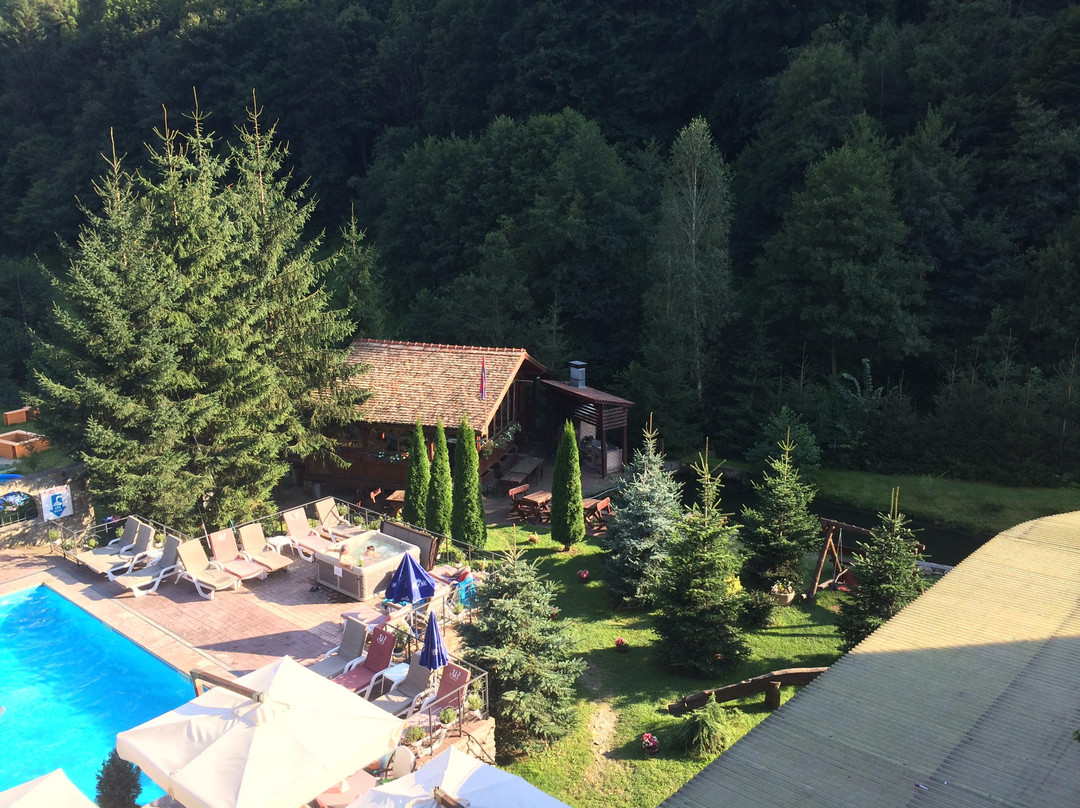 Sura Mica酒店住宿-Pension Mai