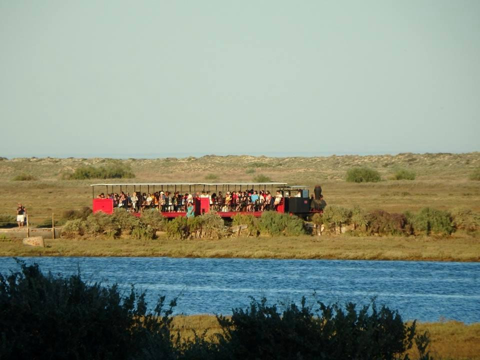 ALGARVE WOW- Day Tours-Almancil必去景点