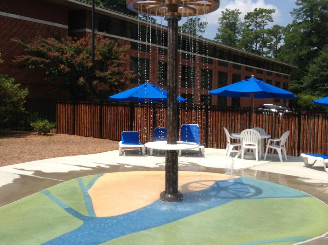 威廉斯堡殖民地区伍德兰套房酒店