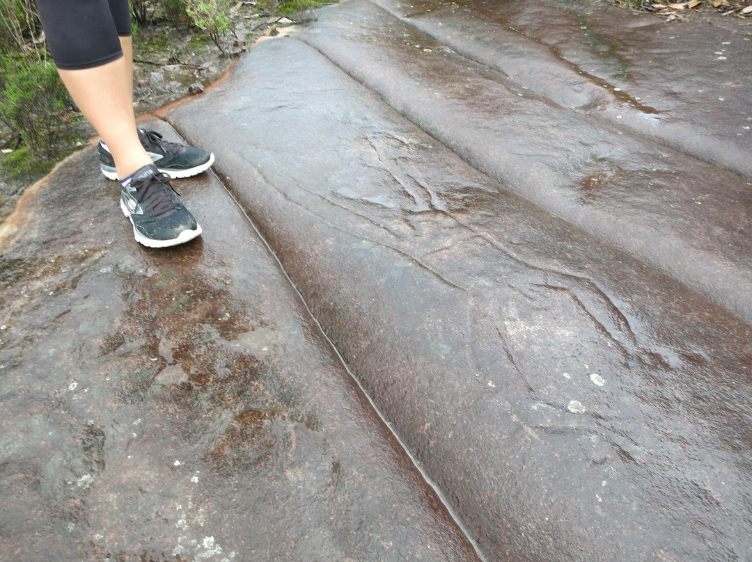 Elvina Track Aboriginal Engraving Site景点图片