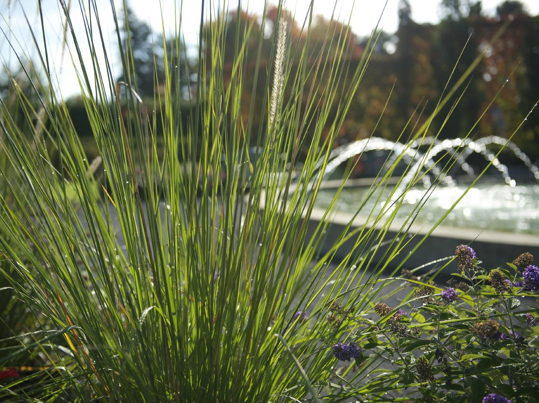 Maison Antoine Lacombe-Saint-Charles-Borromee必去景点