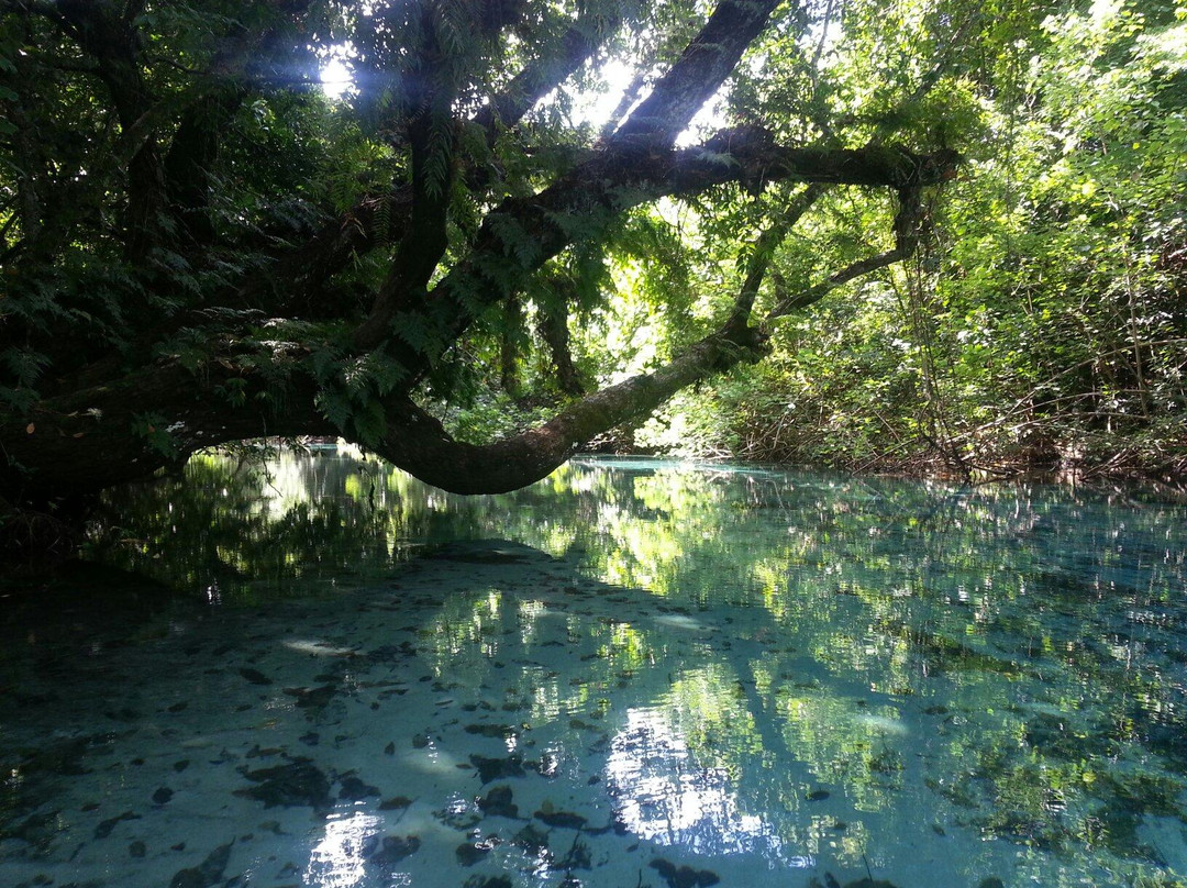 Riri Blue Hole-卢甘维尔必去景点